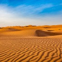 lostinthemarst avatar