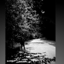 lostinthiscaos avatar