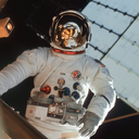 lostlittlebird avatar