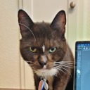 losunicornios avatar