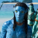 lotusblossomed avatar