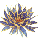 lotusnymphe avatar