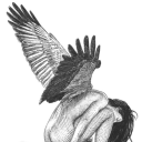 loucifersangel avatar