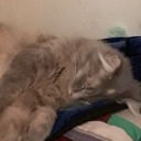 love-found-me avatar