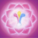 love-wisdom-power avatar