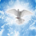 loveandkindess avatar