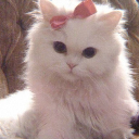 loveandlightangel1111 avatar