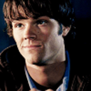 lovebirdstiel avatar