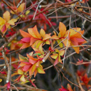 lovebooks58-blog avatar