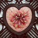 lovechaosdragon avatar