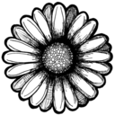 lovelife--lifelove avatar