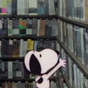 lovelikeghossts avatar