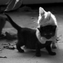 lovelikelilies avatar