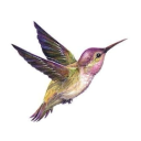 lovelizgillies avatar