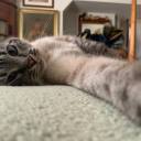 lovelybee1993 avatar