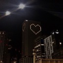 lovelyfurrydreamland avatar