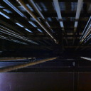 lovelymarguerite avatar