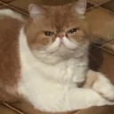 lovelymazapan avatar