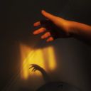 lovelywolfves avatar