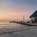 loveyoualways829 avatar