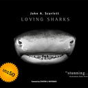 lovingsharks-blog-blog avatar