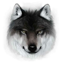 lowkeye70-blog avatar