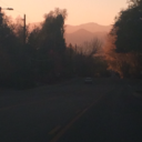 loyal-revolution avatar