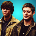 loyalwinchesters avatar