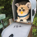 lucas-bieneke avatar