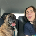 lucid-transcendence avatar