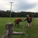 luciferr-satan avatar