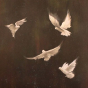 lucilleambrose avatar