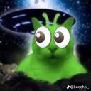 lulykidney avatar