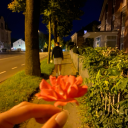 lunamovas-blog avatar