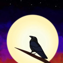 lunariancrow avatar