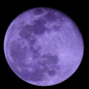 lynn-hyacinth avatar