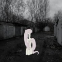 lyrics-on-converse avatar