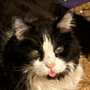 lysergidedaydreaming avatar