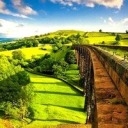 macaulaywrites avatar