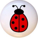 madame-coccinelle avatar