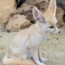 madame-earing avatar