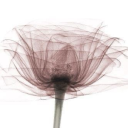 madamedeficit avatar