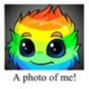 madasarainbow avatar