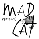 madcatphotography-blog avatar