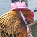 maddened-ramblings avatar