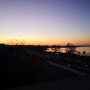 madeleine2911 avatar