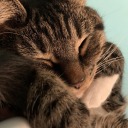 madelinesapling avatar