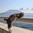 madmaster11-blog avatar