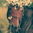 magicalcyclestarlight avatar