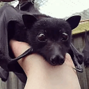 magicandmatrices avatar